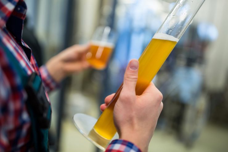 Австралийские учёные нашли молекулярные отличия между крафтовым и массовым пивом
