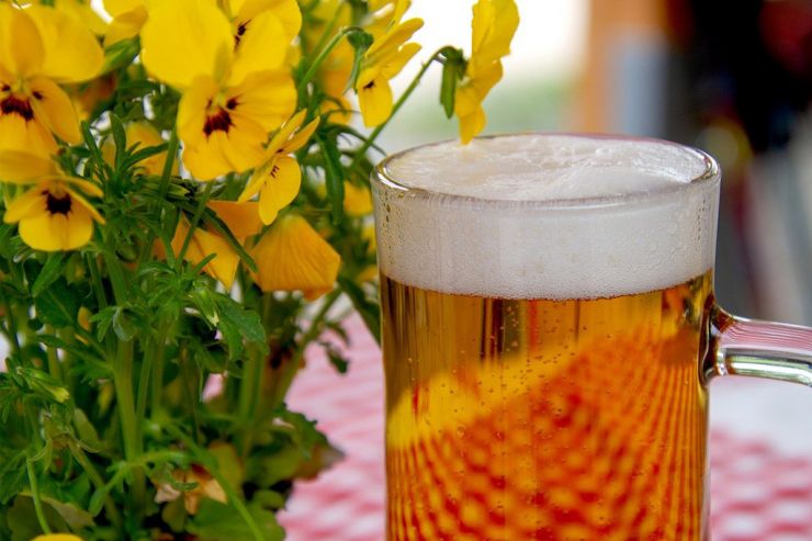 Власти Башкирии поддержали планы «Башспирта» по выпуску пива