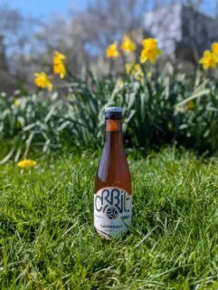 https://center.beer/wp-content/uploads/2025/04/orbit-beers-welcomes-the-arrival-of-spring-with-the-release-of-a-lentebock-a-classic-dutch-style-seasonal-lager-78b34bc.webp